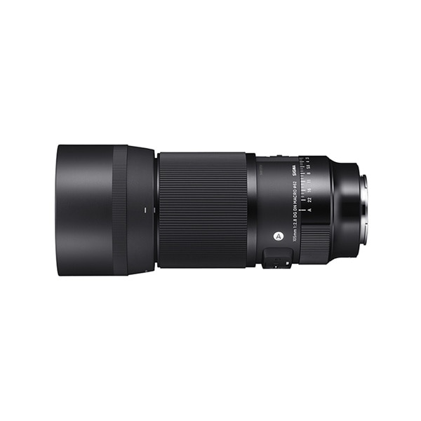 SIGMA(シグマ) 105mm F2.8 DG DN MACRO Art Leica-Lマウント 260699