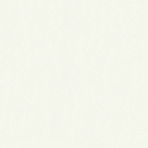 レザック 82 ファンシーペーパー ろうけつ しろ